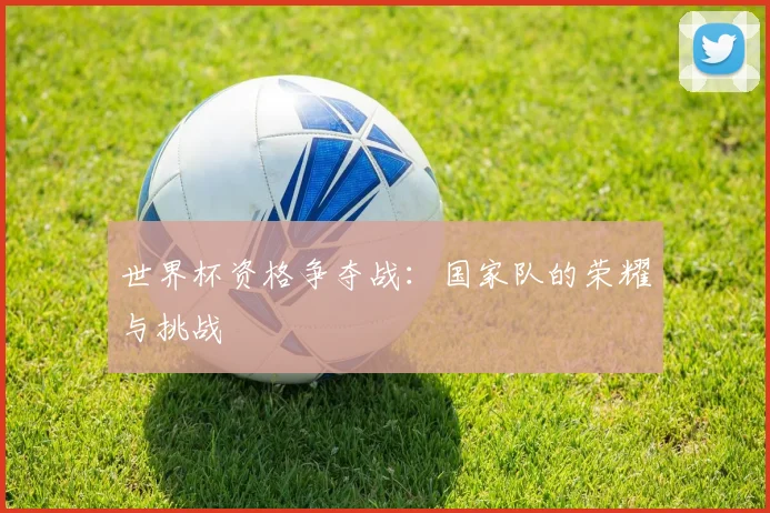 世界杯资格争夺战:国家队的荣耀与挑战